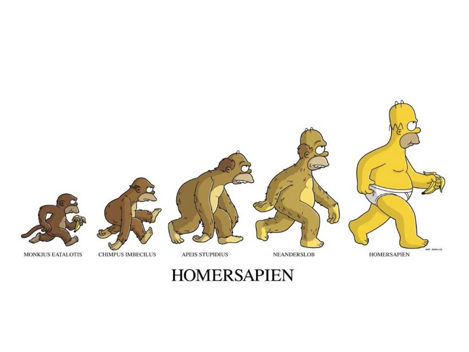 Evolutionary morality philosophics
