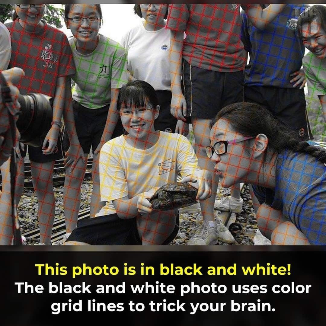 perception-is-not-reality-philosophics