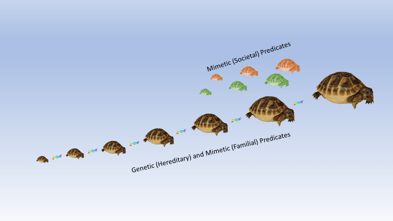 This image has an empty alt attribute; its file name is image-14.png