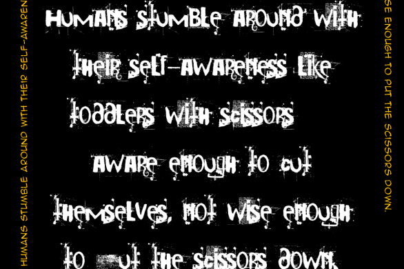 Humans stumble around with their self-awareness like toddlers with scissors—aware enough to cut themselves, not wise enough to put the scissors down.