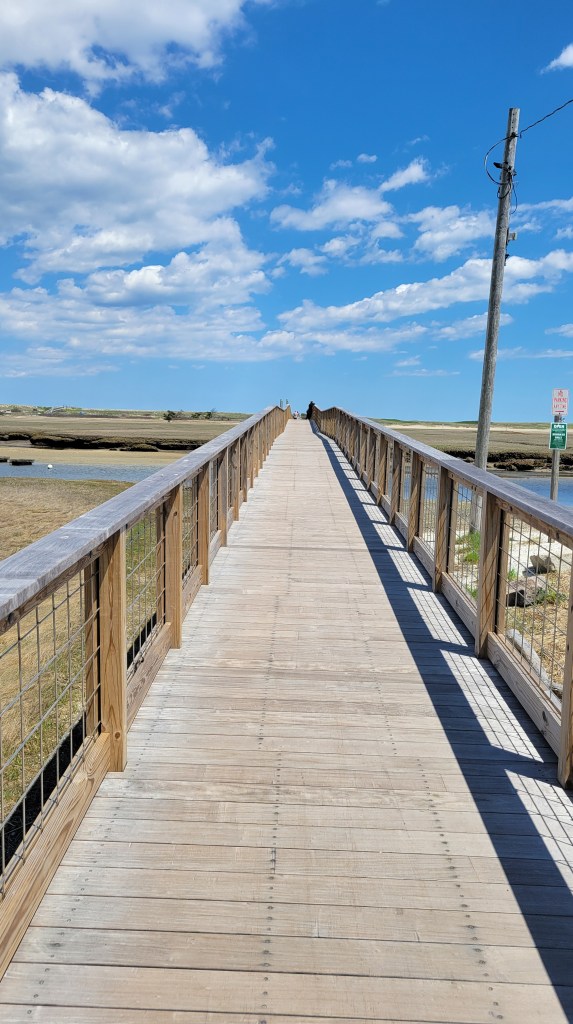 Sandwich Beach Marsh Boardwalk