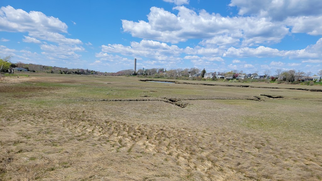 Sandwich Beach Marsh