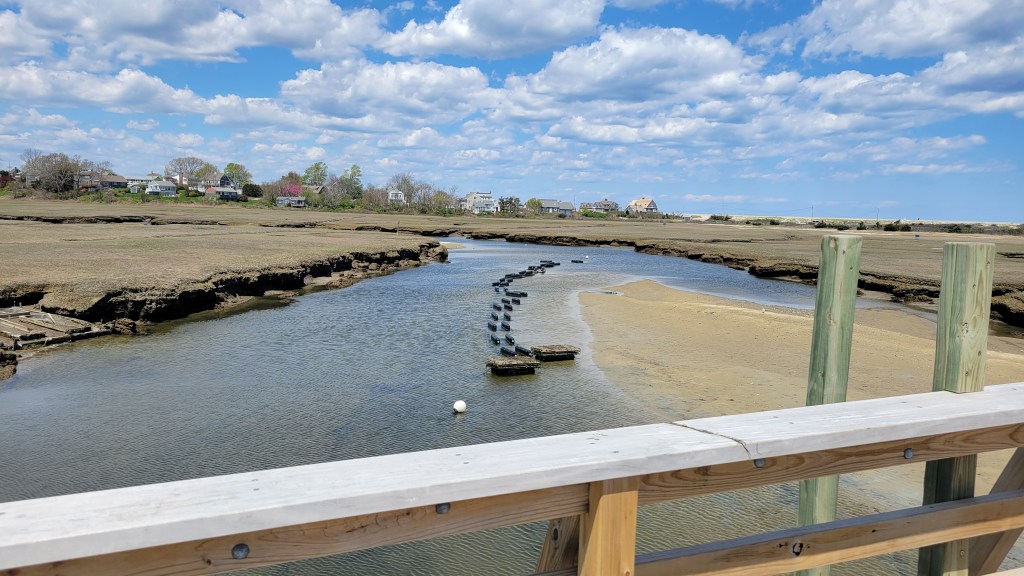 Sandwich Beach Marsh from Boardwalk