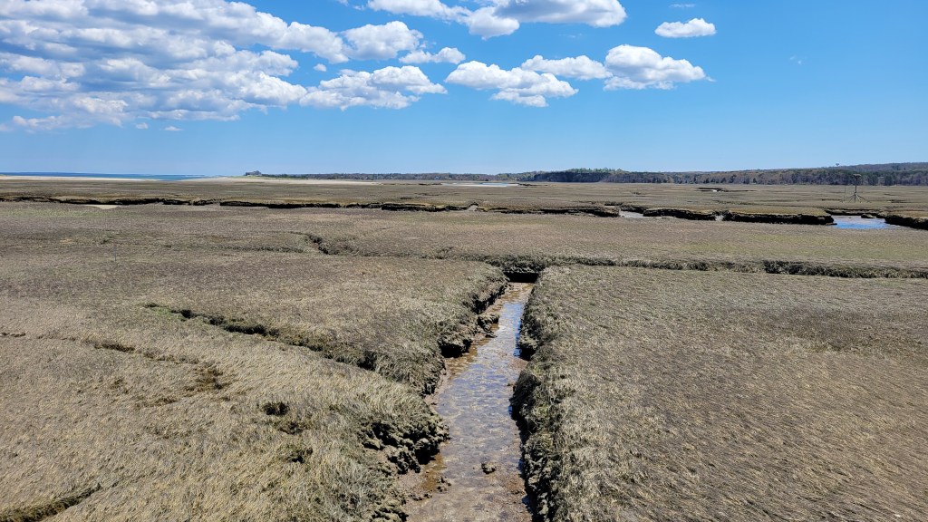 Sandwich Beach Marsh