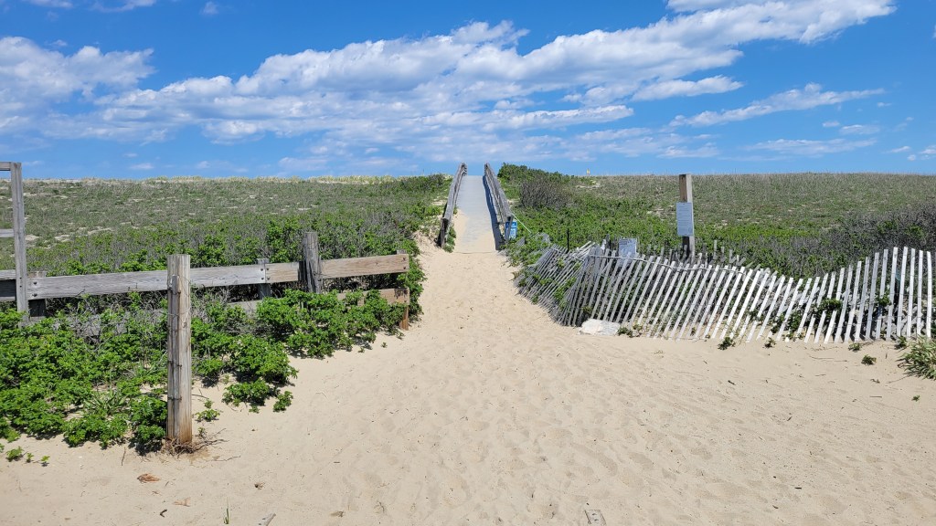 Sandwich Beach Marsh Boardwalk – West View (from oceanside)