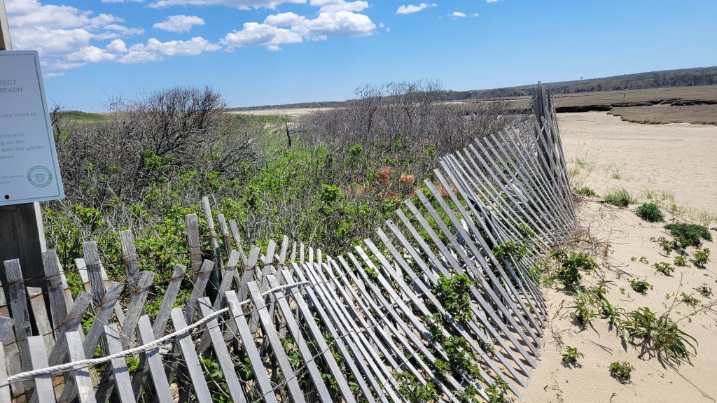 Sandwich Beach Marsh – Fence