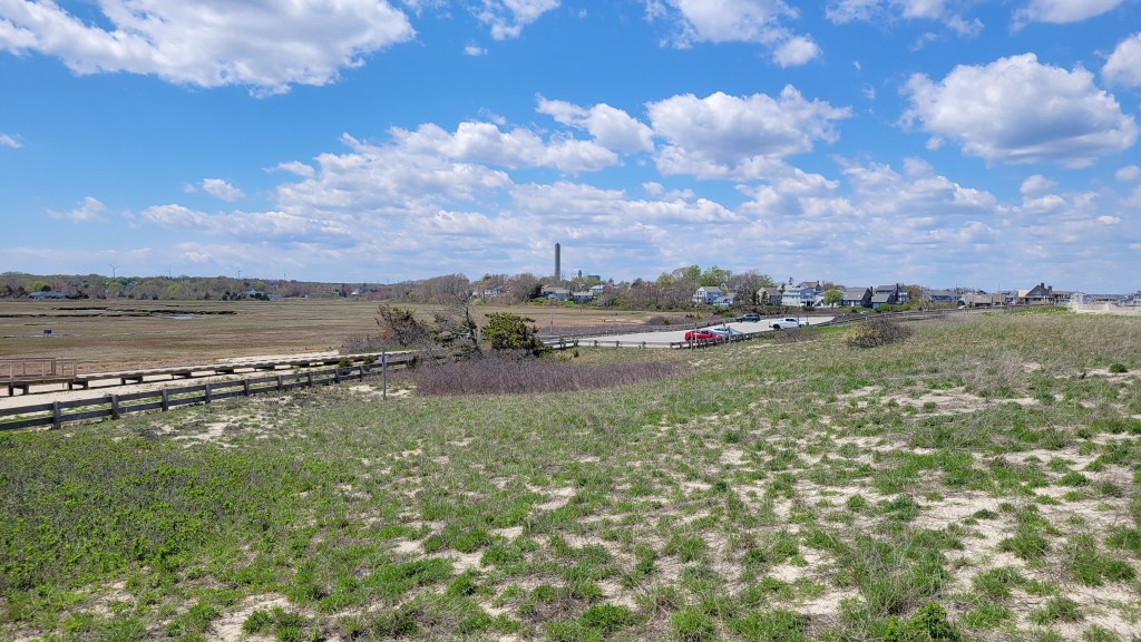 Sandwich Beach Marsh