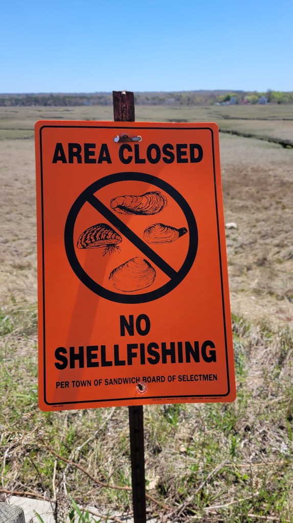 Sandwich Beach — No Shellfishing Sign