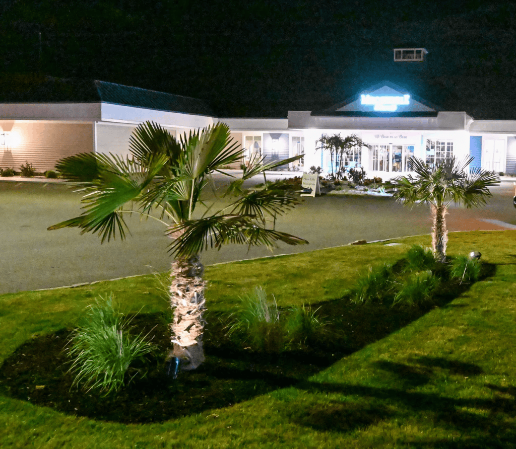 A well-lit hotel entrance at night, featuring palm trees and manicured grass in the foreground.